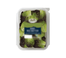 Organic Spring Mix